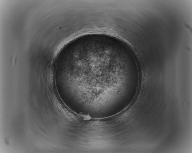 X0000101701506200807101524