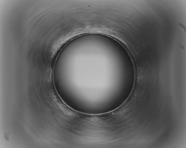X0000101701507200807101524