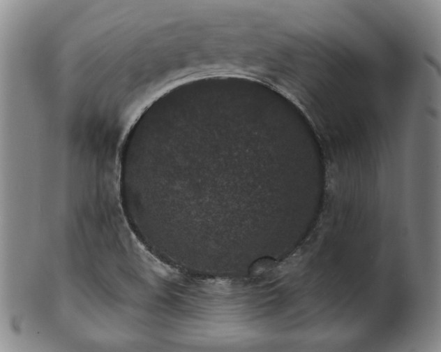 X0000101701508200807101524