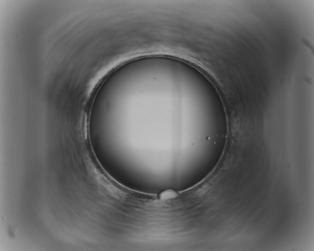 X0000101701510200807101524