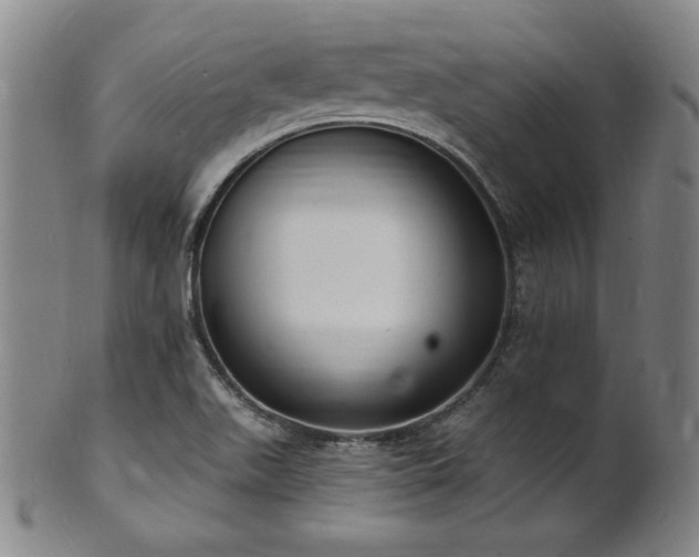 X0000101701511200807101524