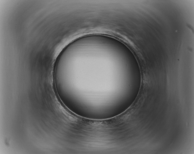 X0000101701512200807101524