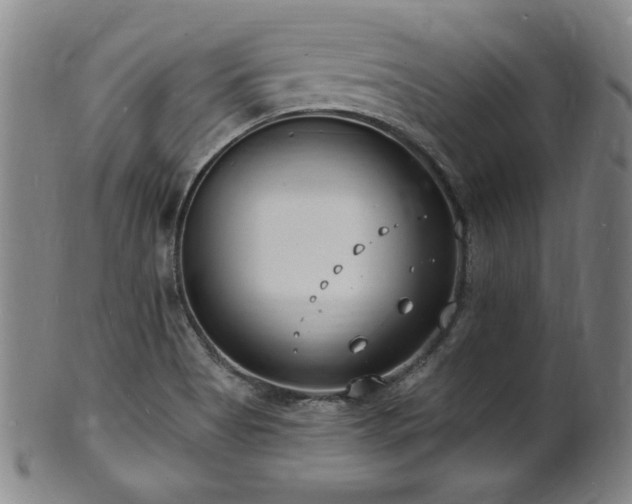 X0000101701513200807101525
