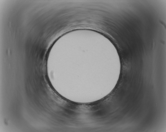 X0000101701514200807101525