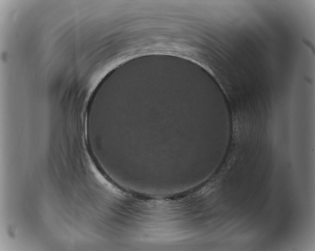 X0000101701515200807101525