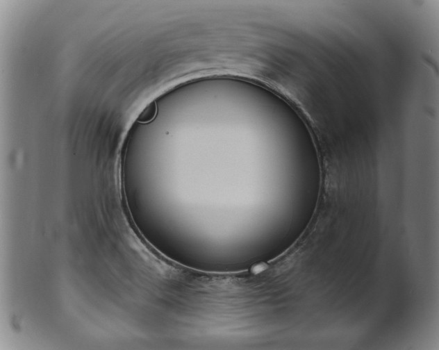 X0000101701516200807101525