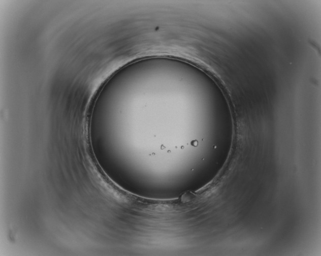 X0000101701517200807101525