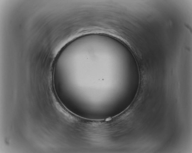 X0000101701518200807101525