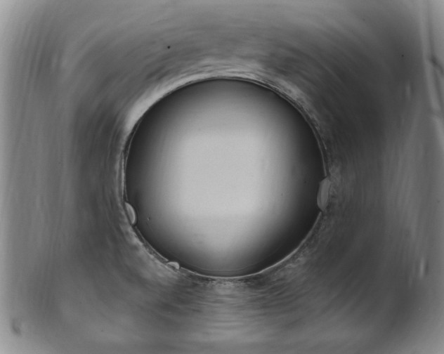 X0000101701520200807101525