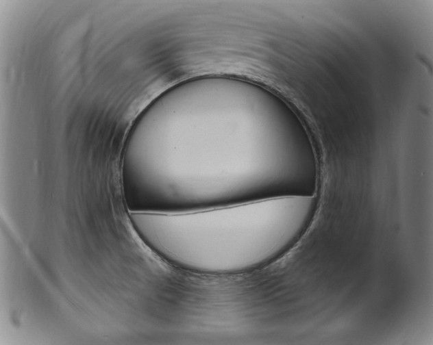 X0000101701521200807101525