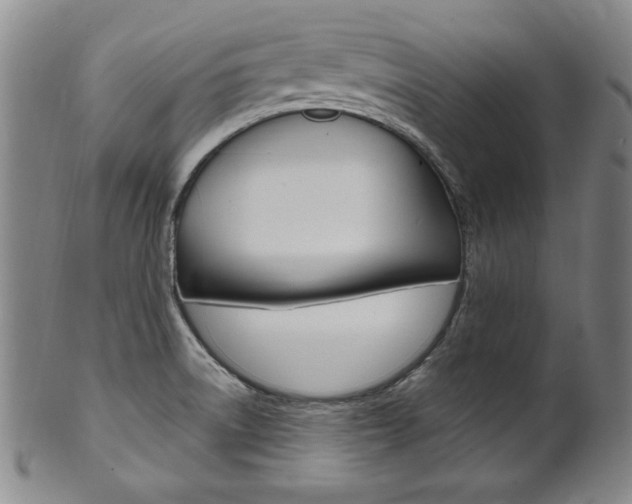 X0000101701522200807101525