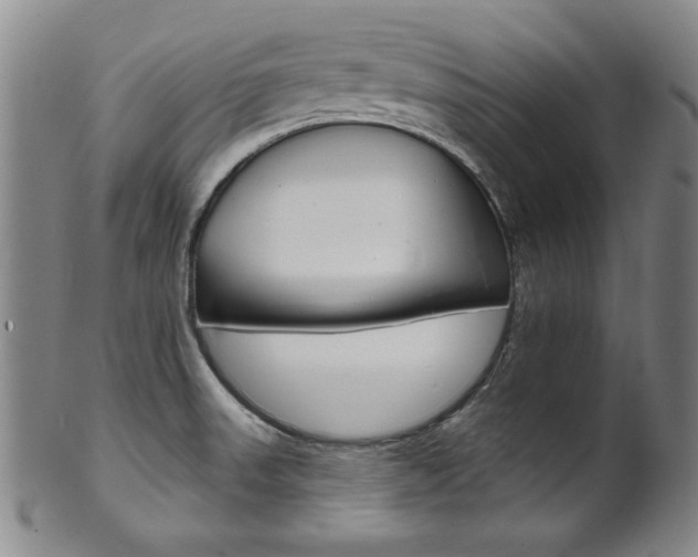 X0000101701523200807101525