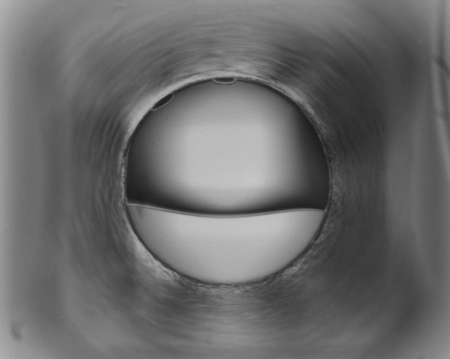 X0000101701524200807101525