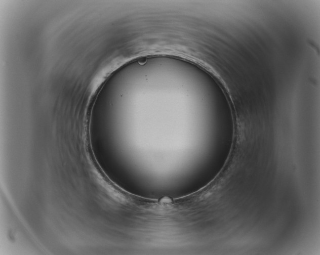 X0000101701525200807101525