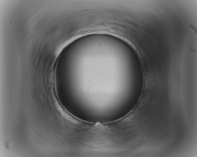 X0000101701526200807101525