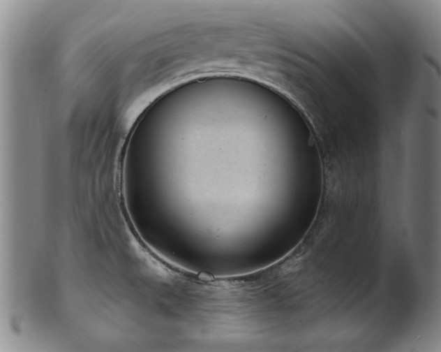 X0000101701527200807101525