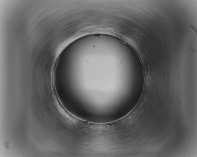 X0000101701528200807101525