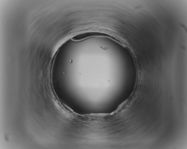 X0000101701530200807101525