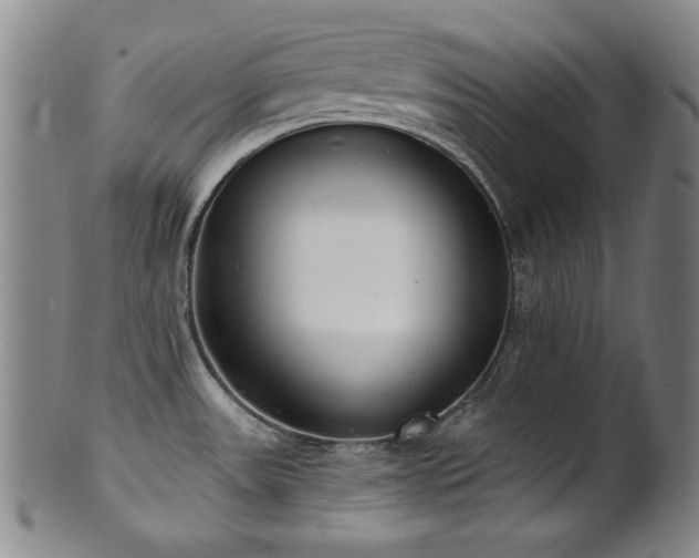 X0000101701531200807101525