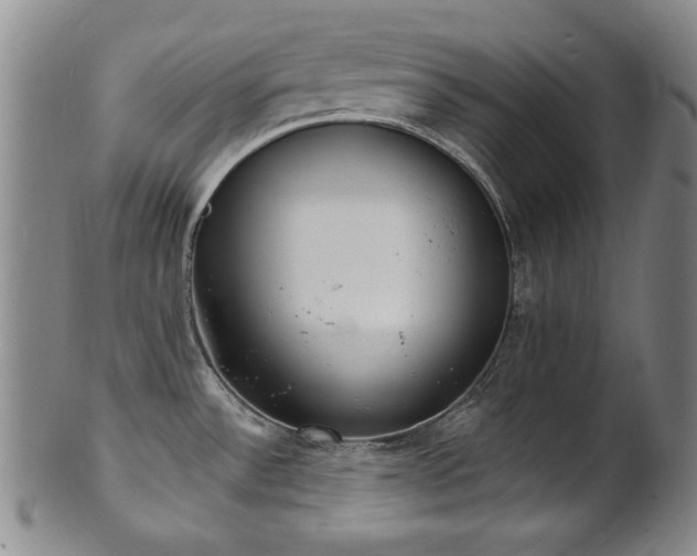 X0000101701532200807101525