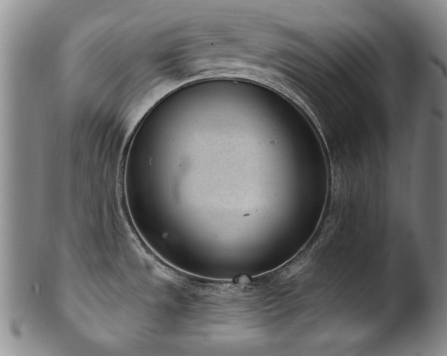 X0000101701533200807101525