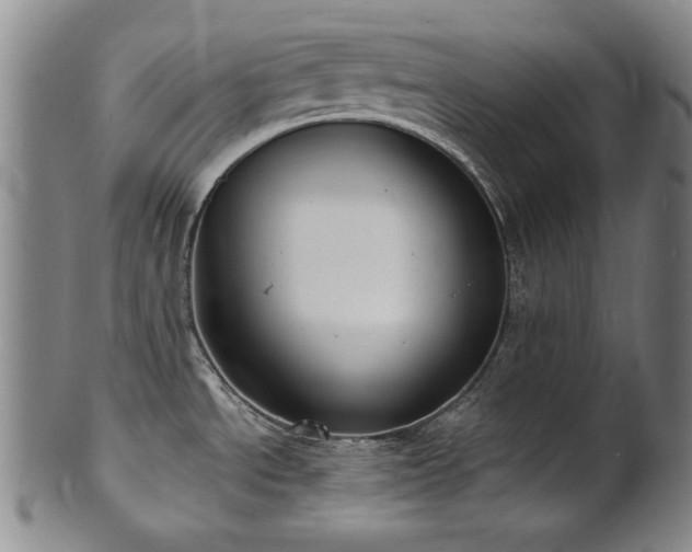 X0000101701534200807101525
