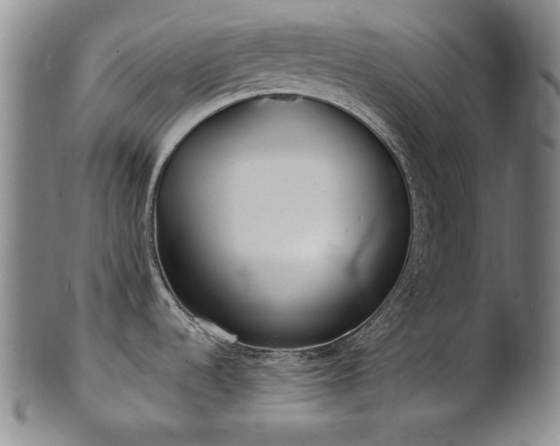 X0000101701536200807101525
