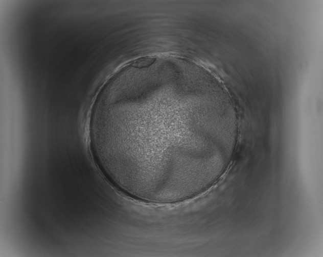 X0000101700002200807171524