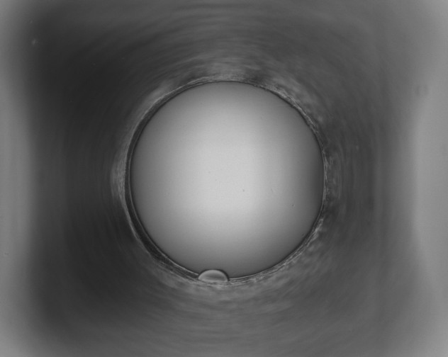 X0000101700003200807171524