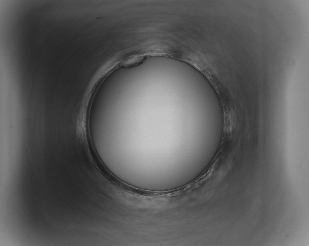 X0000101700004200807171524