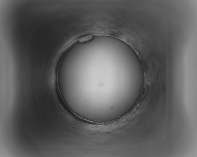 X0000101700005200807171524