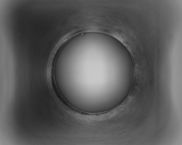 X0000101700007200807171524