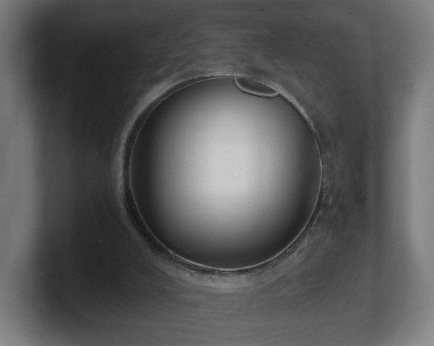 X0000101700008200807171524