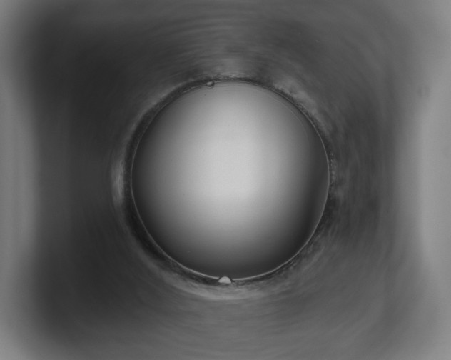 X0000101700012200807171524