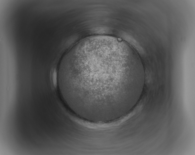 X0000101700014200807171524