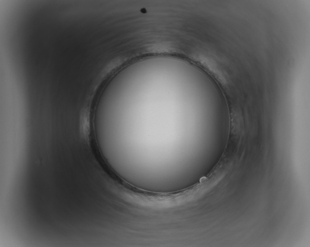 X0000101700015200807171524