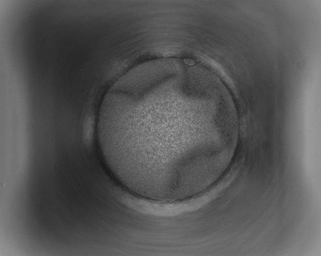 X0000101700018200807171524