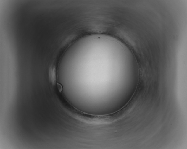 X0000101700020200807171524