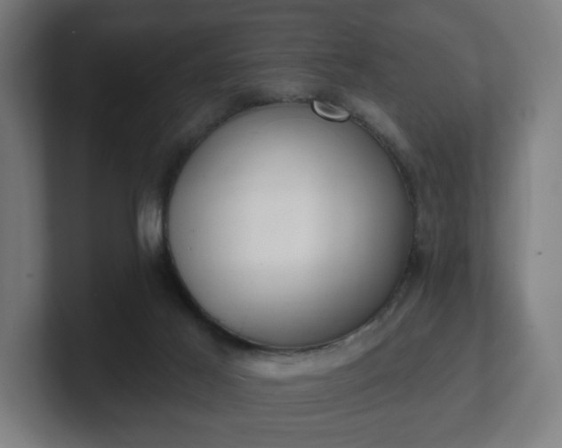 X0000101700021200807171524