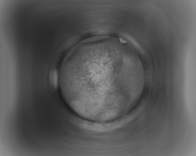 X0000101700022200807171524