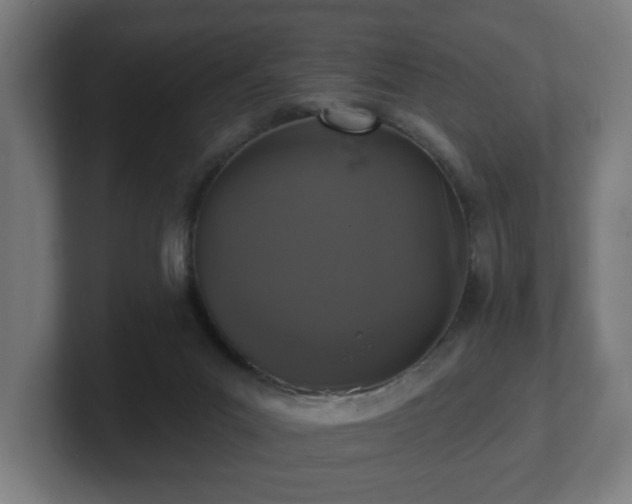 X0000101700023200807171524