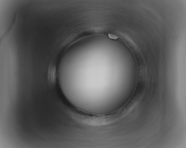 X0000101700024200807171524