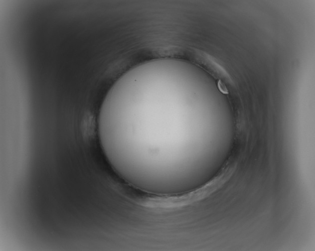 X0000101700025200807171524