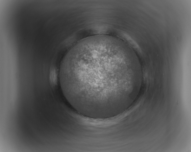 X0000101700026200807171524