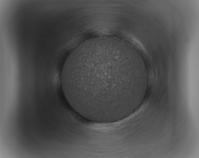 X0000101700029200807171524