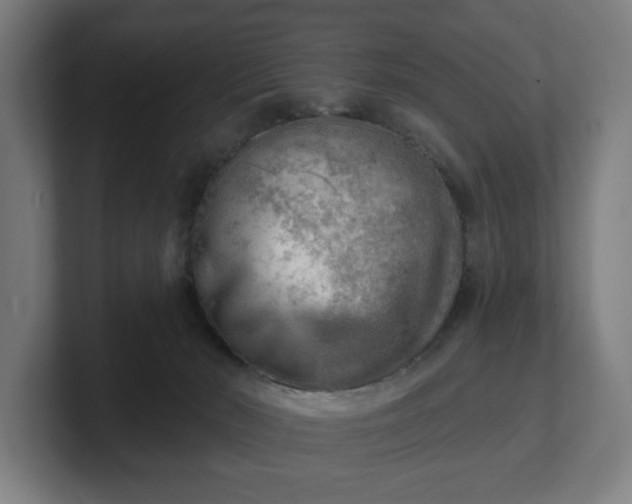 X0000101700030200807171524