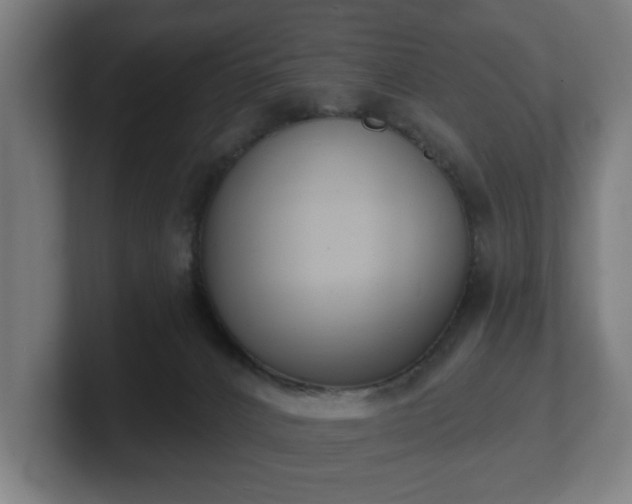 X0000101700032200807171524