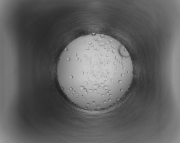 X0000101700034200807171524