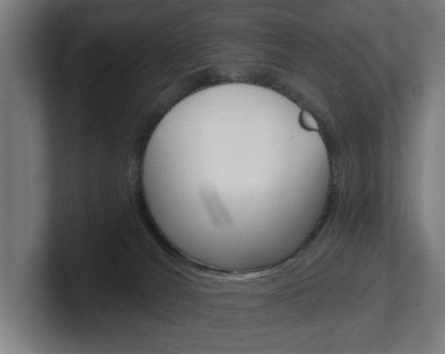 X0000101700036200807171524