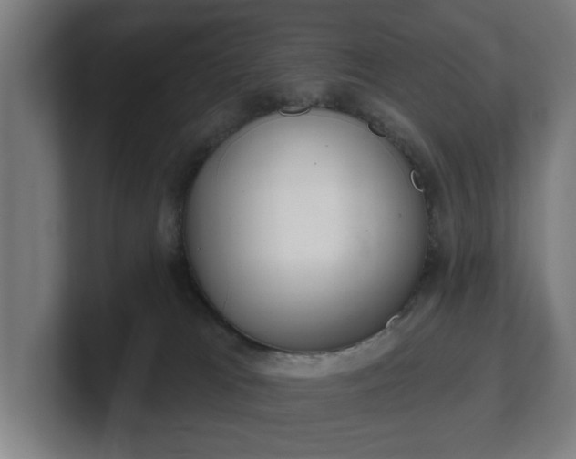 X0000101700037200807171524